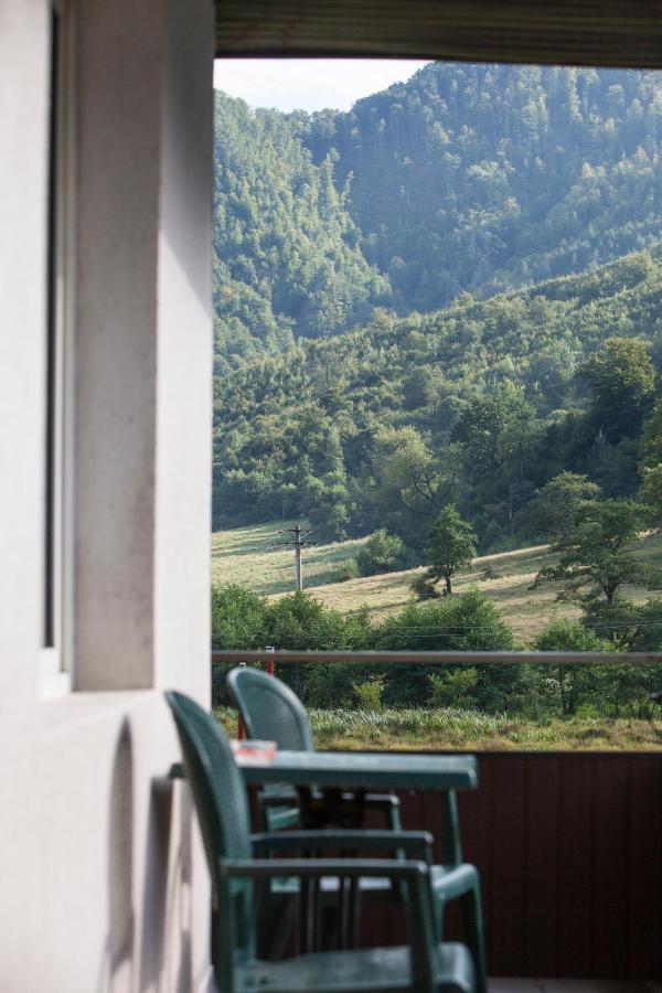 Hotel Time-Out - Valea Oltului Balota  Exterior foto